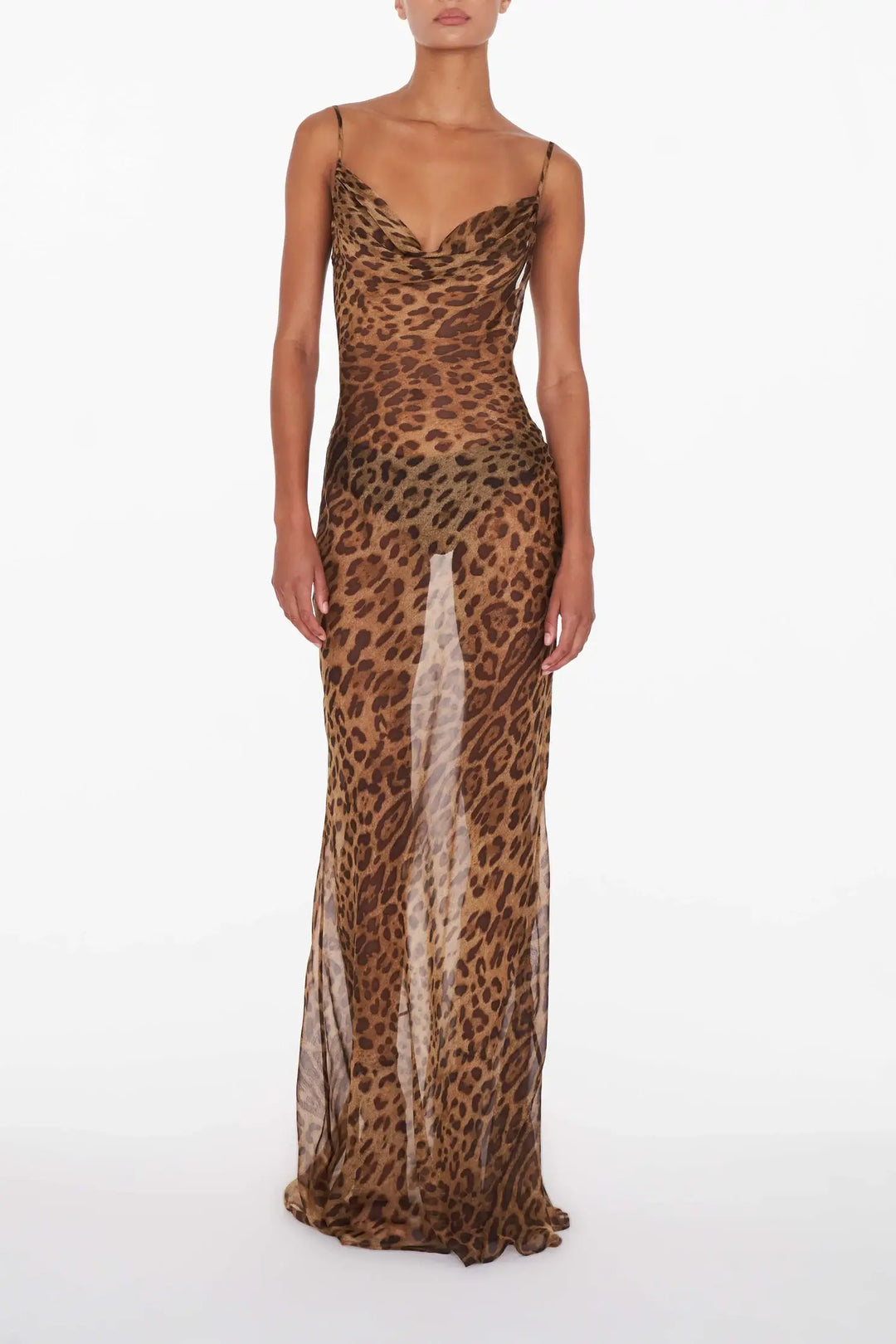 Lionel Sheer maxi dress